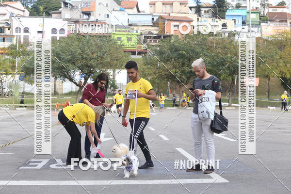 Buy your photos of the eventCorrida Pet Finde on Fotop