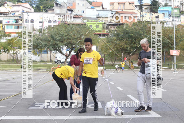 Buy your photos of the eventCorrida Pet Finde on Fotop
