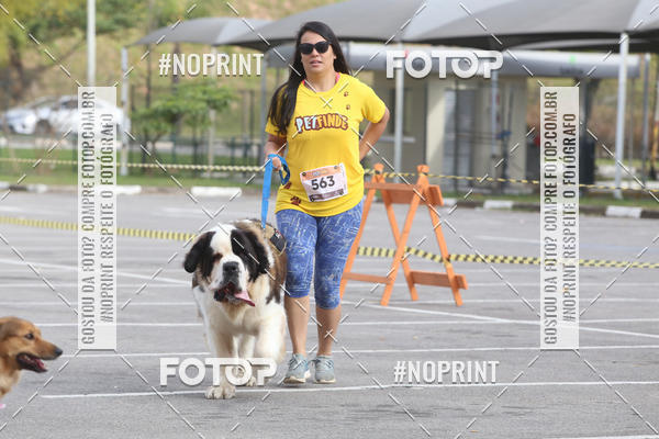 Buy your photos of the eventCorrida Pet Finde on Fotop