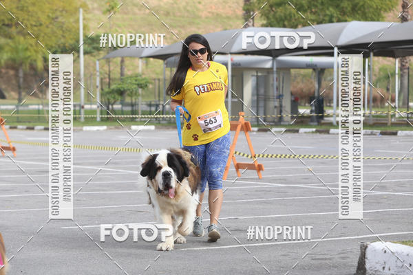 Buy your photos of the eventCorrida Pet Finde on Fotop