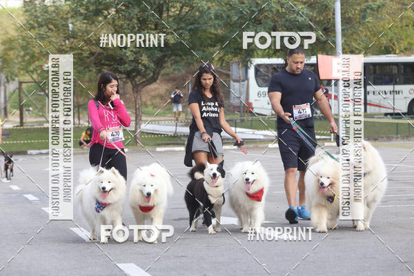 Buy your photos of the eventCorrida Pet Finde on Fotop