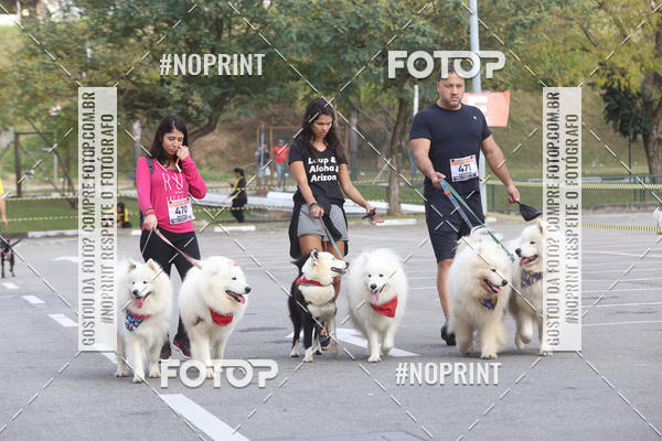 Buy your photos of the eventCorrida Pet Finde on Fotop