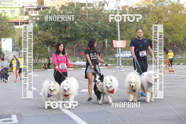 Buy your photos of the eventCorrida Pet Finde on Fotop