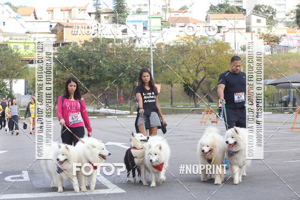 Buy your photos of the eventCorrida Pet Finde on Fotop