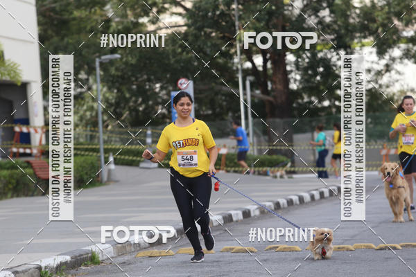 Buy your photos of the eventCorrida Pet Finde on Fotop