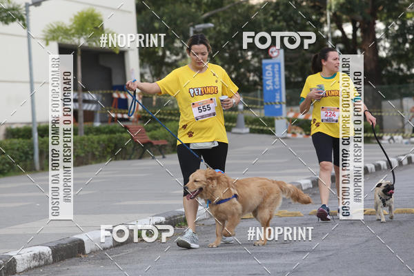 Buy your photos of the eventCorrida Pet Finde on Fotop