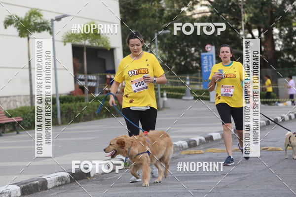 Buy your photos of the eventCorrida Pet Finde on Fotop