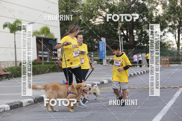 Buy your photos of the eventCorrida Pet Finde on Fotop