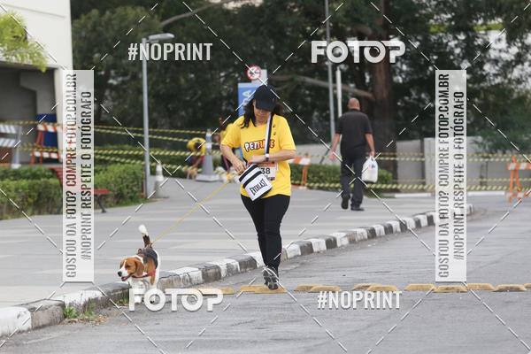 Buy your photos of the eventCorrida Pet Finde on Fotop