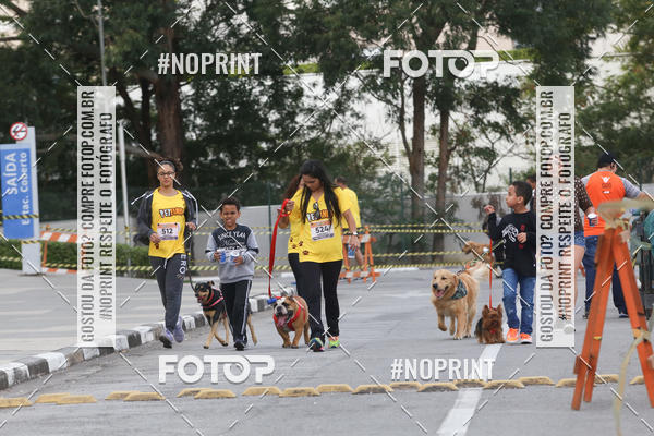 Buy your photos of the eventCorrida Pet Finde on Fotop