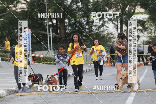 Buy your photos of the eventCorrida Pet Finde on Fotop