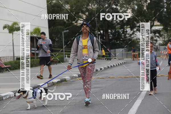 Buy your photos of the eventCorrida Pet Finde on Fotop