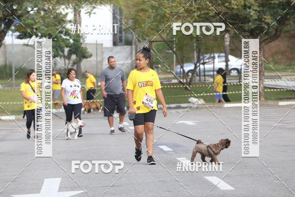 Buy your photos of the eventCorrida Pet Finde on Fotop