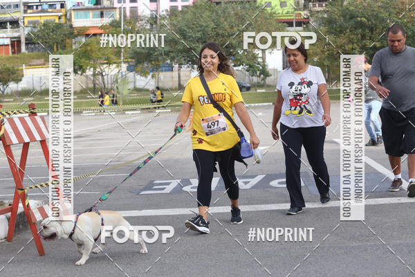 Buy your photos of the eventCorrida Pet Finde on Fotop