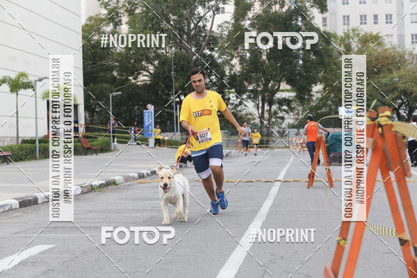 Buy your photos of the eventCorrida Pet Finde on Fotop
