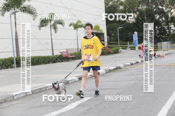 Buy your photos of the eventCorrida Pet Finde on Fotop