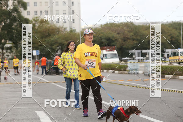 Buy your photos of the eventCorrida Pet Finde on Fotop