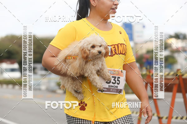 Buy your photos of the eventCorrida Pet Finde on Fotop