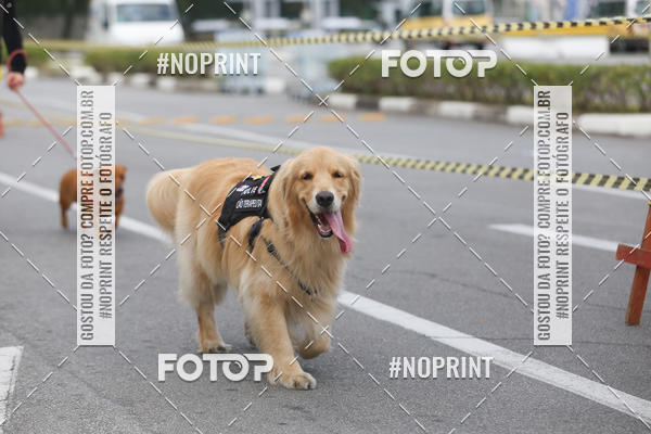 Buy your photos of the eventCorrida Pet Finde on Fotop