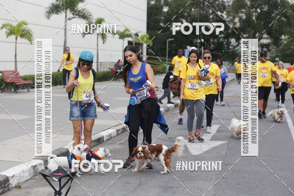 Buy your photos of the eventCorrida Pet Finde on Fotop