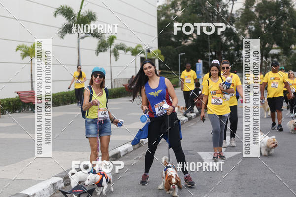 Buy your photos of the eventCorrida Pet Finde on Fotop