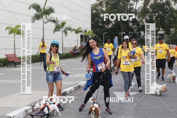 Buy your photos of the eventCorrida Pet Finde on Fotop