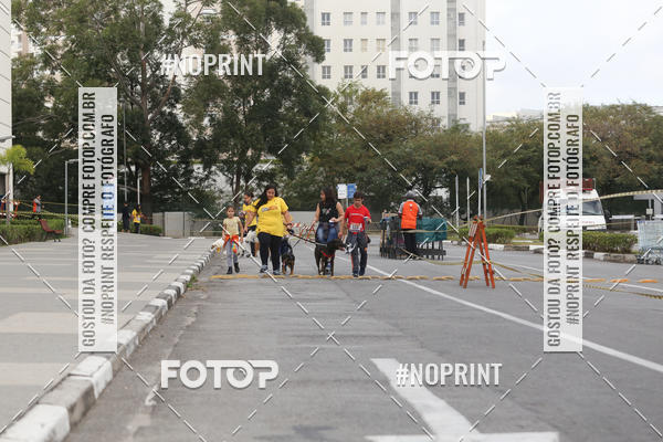 Buy your photos of the eventCorrida Pet Finde on Fotop