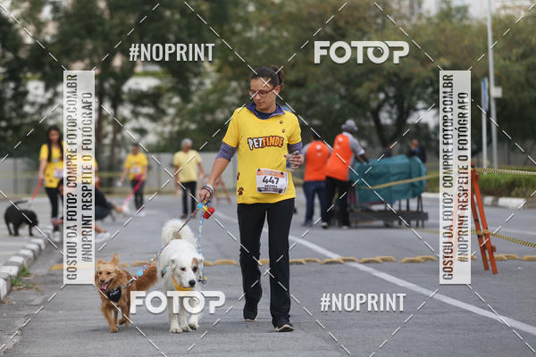 Buy your photos of the eventCorrida Pet Finde on Fotop