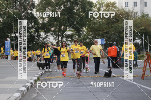 Buy your photos of the eventCorrida Pet Finde on Fotop