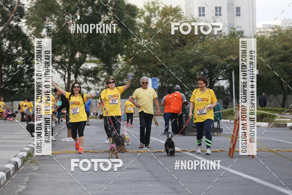 Buy your photos of the eventCorrida Pet Finde on Fotop