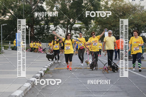 Buy your photos of the eventCorrida Pet Finde on Fotop