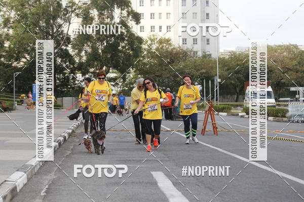 Buy your photos of the eventCorrida Pet Finde on Fotop