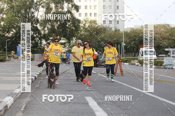 Buy your photos of the eventCorrida Pet Finde on Fotop