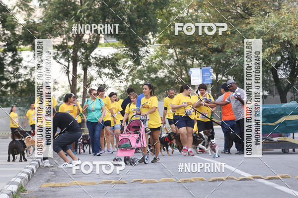 Buy your photos of the eventCorrida Pet Finde on Fotop