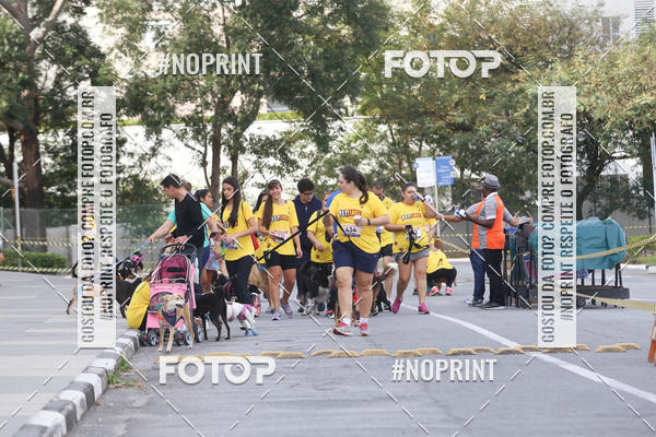 Buy your photos of the eventCorrida Pet Finde on Fotop