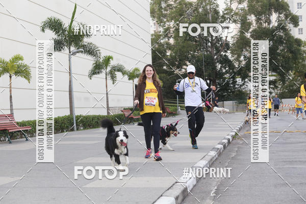 Buy your photos of the eventCorrida Pet Finde on Fotop