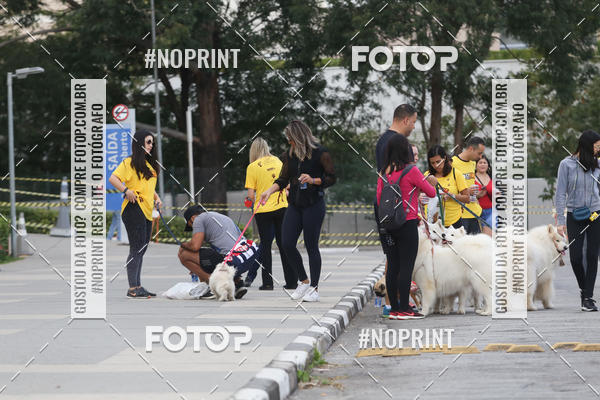 Buy your photos of the eventCorrida Pet Finde on Fotop