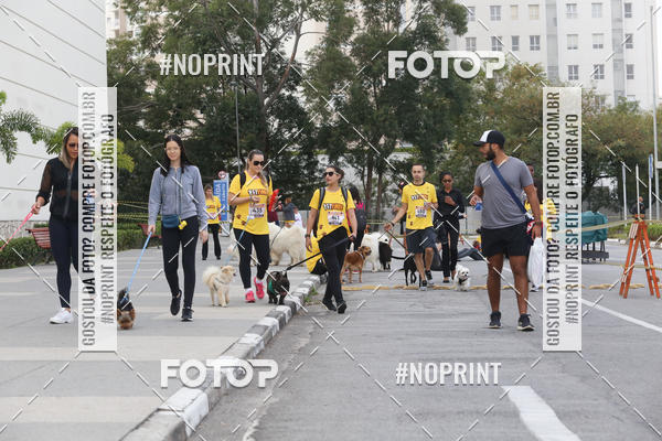 Buy your photos of the eventCorrida Pet Finde on Fotop
