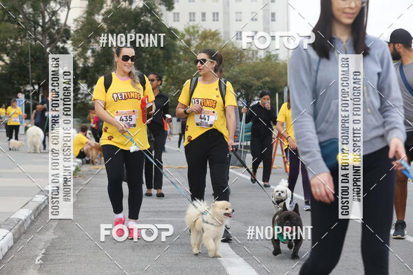 Buy your photos of the eventCorrida Pet Finde on Fotop