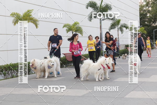 Buy your photos of the eventCorrida Pet Finde on Fotop