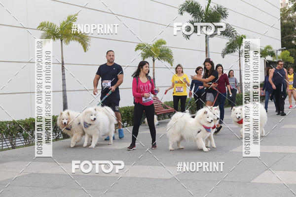Buy your photos of the eventCorrida Pet Finde on Fotop