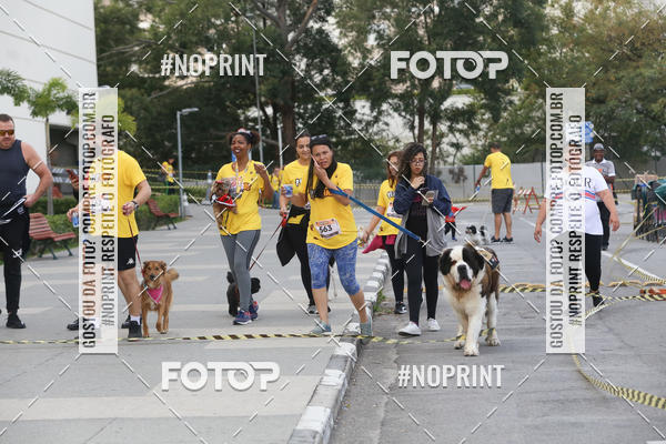 Buy your photos of the eventCorrida Pet Finde on Fotop