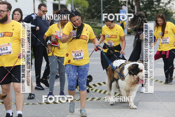 Buy your photos of the eventCorrida Pet Finde on Fotop