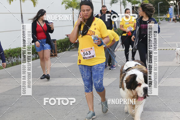 Buy your photos of the eventCorrida Pet Finde on Fotop
