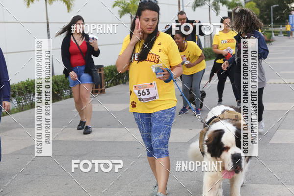 Buy your photos of the eventCorrida Pet Finde on Fotop