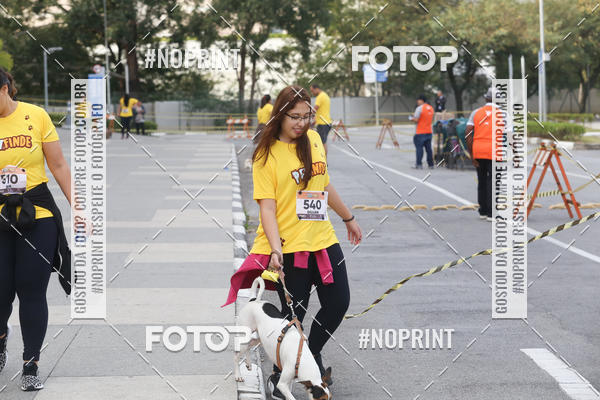 Buy your photos of the eventCorrida Pet Finde on Fotop