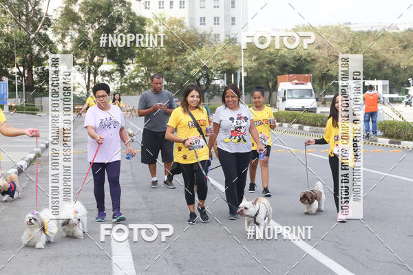 Buy your photos of the eventCorrida Pet Finde on Fotop