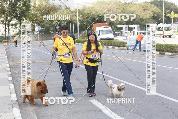 Buy your photos of the eventCorrida Pet Finde on Fotop