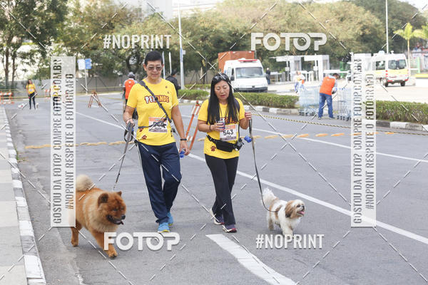 Buy your photos of the eventCorrida Pet Finde on Fotop