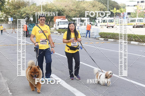 Buy your photos of the eventCorrida Pet Finde on Fotop
